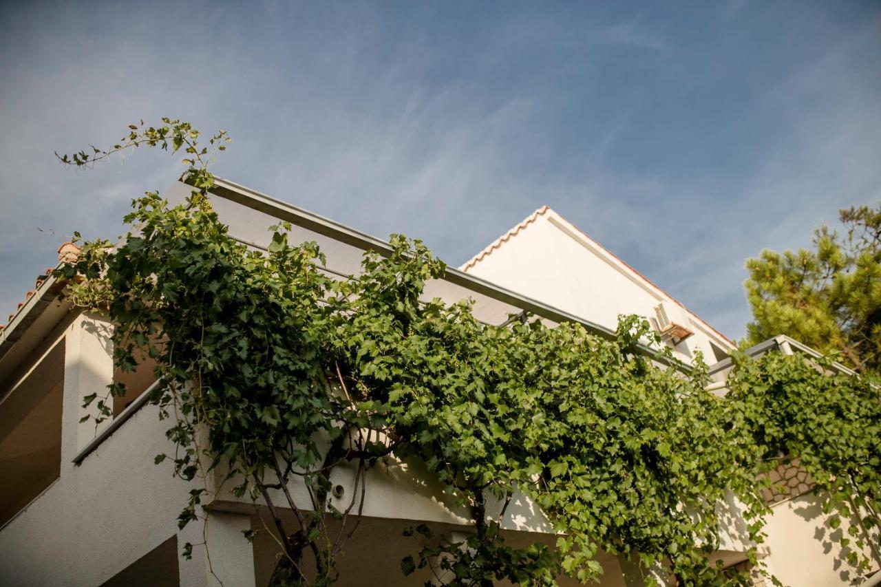 Guesthouse Sime Kolan Dış mekan fotoğraf